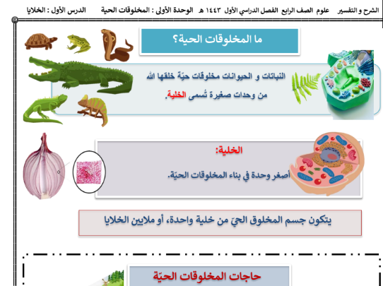 ملخص درس الخلايا ما المخلوقات الحية؟ علوم رابع ابتدائي ف1 بداية