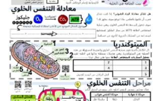 ورقة عمل التنفس الخلوي مع الحل مقرر أحياء 3 أ. فيصل الجمعان