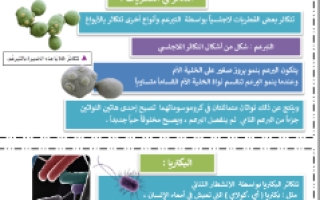 ملخص درس التكاثر في الفطريات و البكتيريا علوم سادس ابتدائي ف1