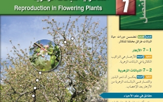 حل الفصل السابع التكاثر في النباتات الزهرية أحياء 2-1 ثاني ثانوي مسارات
