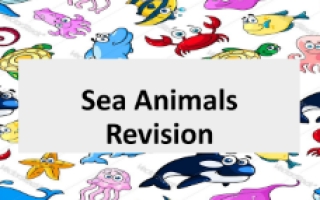 مراجعة الوحدة الثانية (sea animals) انجليزي سادس ابتدائي
