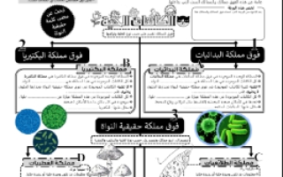 ورقة عمل التصنيف الحديث مع الحل مقرر أحياء 1 أ. فيصل الجمعان