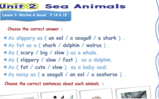 ورقة عمل الدرس الثالث من الوحدة sea animals انجليزي غير محلولة خامس ابتدائي  أ . اريم علي