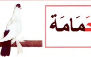 معلقات تزيين القسم الحروف الابجدية العربية لغتي أول ابتدائي ف1