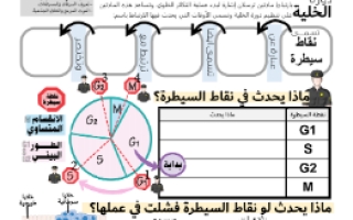 ورقة عمل تنظيم دورة الخلية مع الحل مقرر أحياء 3 أ. فيصل الجمعان