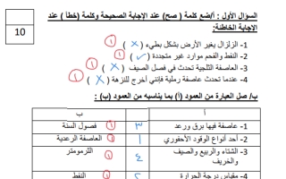 اختبار نهائي علوم محلول ثالث ابتدائي الفصل الثاني