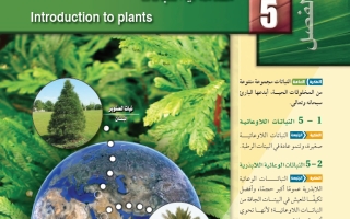 حل الفصل الخامس مقدمة في النباتات أحياء 2-1 ثاني ثانوي مسارات