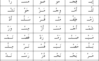 ورقة عمل درس تدريب على قراءة المقطع الساكن اول ابتدائي الفصل الثاني