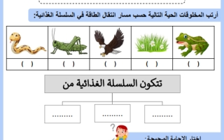 أوراق عمل علوم محلول سادس ابتدائي الفصل الثاني أ.أمل الزهراني