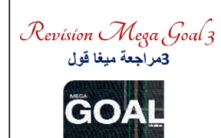 Revision Mega Goal 3